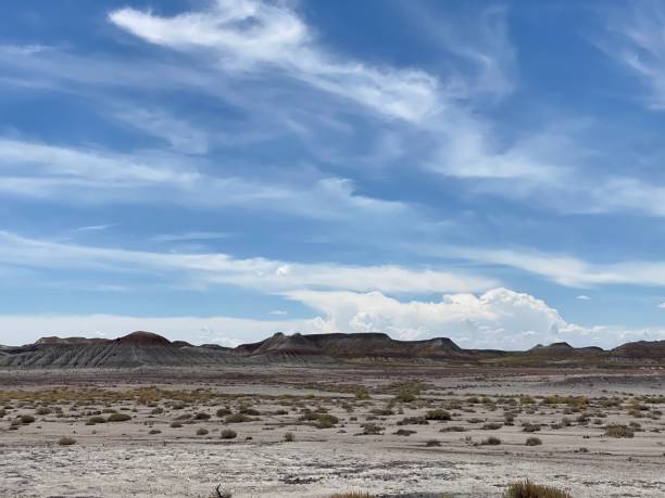 istock Desert landscape with a brilliant sky above 1317976267