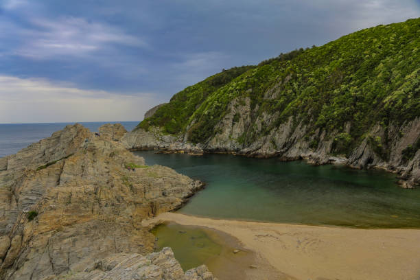 Doğa ve deniz manzarası