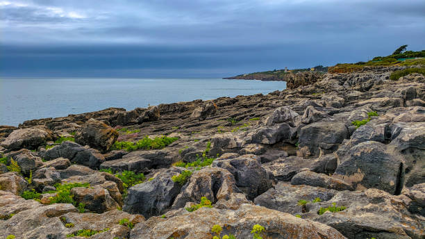 istock Rocky formations in Cascais seacoast 1317981949