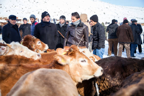 mercato zootecnico nella città di kars in una giornata invernale innevata - cold discussion outdoors snow foto e immagini stock