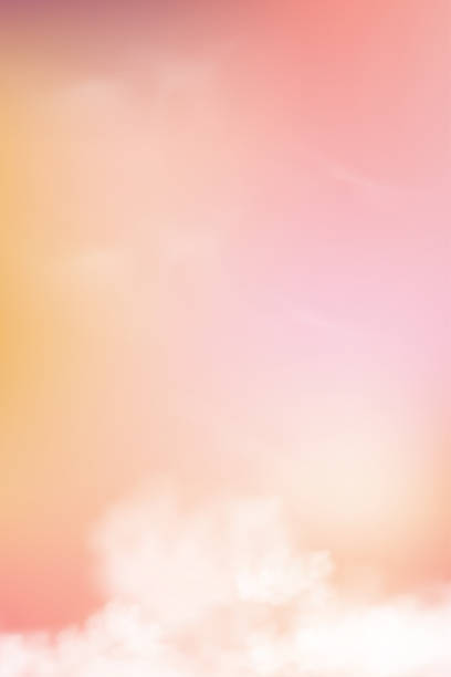 ilustraciones, imágenes clip art, dibujos animados e iconos de stock de amanecer en la mañana con cielo naranja, amarillo y rosa, paisaje crepuscular dramático vertical con puesta de sol por la noche, horizonte de malla vector sky banner de amanecer o luz solar durante cuatro temporadas de fondo - four seasons cloud autumn plant