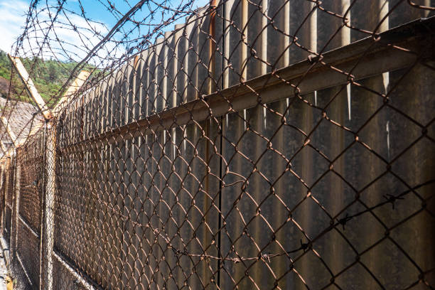 istock High metal corrugated wall with barbed wire 1317985562