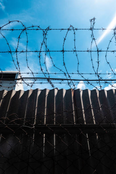 wirls of barbed wire over the fence. fence symbolizes prison, non-freedom, totalitarianism and prohibitions wirls of barbed wire over the fence. fence symbolizes prison, non-freedom, totalitarianism and prohibitions barbed wire wire factory sky stock pictures, royalty-free photos & images