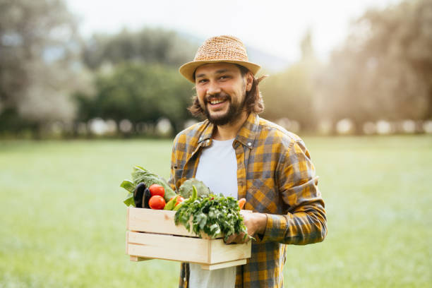 istock Hands holding a grate full of raw vegetables 1317988566