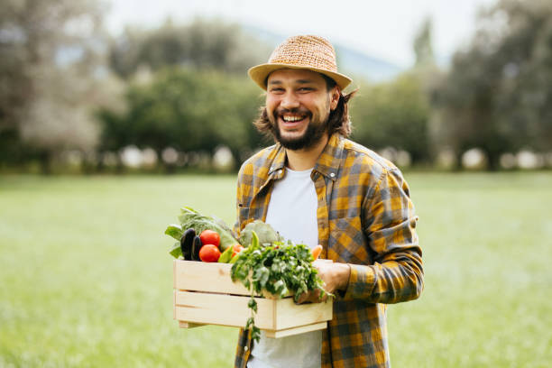 istock Hands holding a grate full of raw vegetables 1317988813