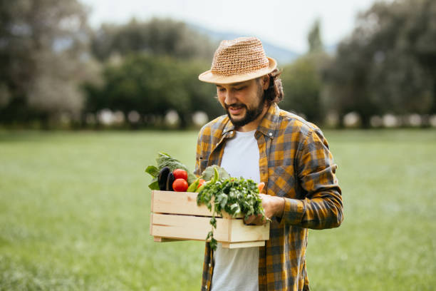 istock Hands holding a grate full of raw vegetables 1317989455