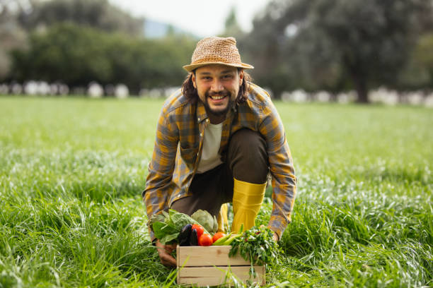 istock Hands holding a grate full of raw vegetables 1317989536
