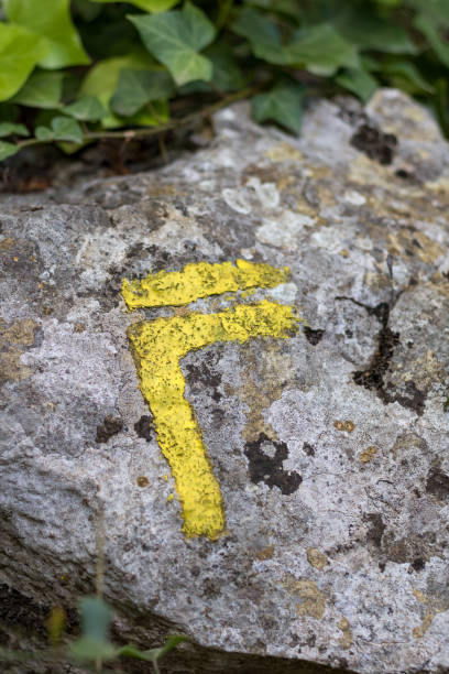 istock Yellow markings to indicate a PR hiking trail (France) 1317998479