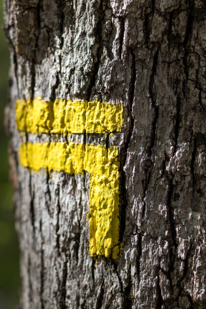 istock Yellow markings to indicate a PR hiking trail (France) 1317999312