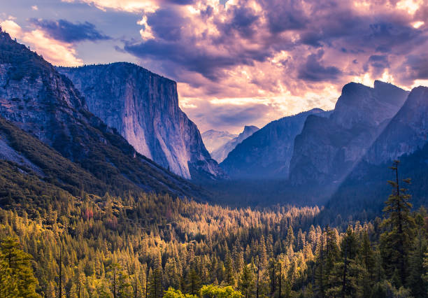 istock El Capitan, Yosemite national park 1318002581