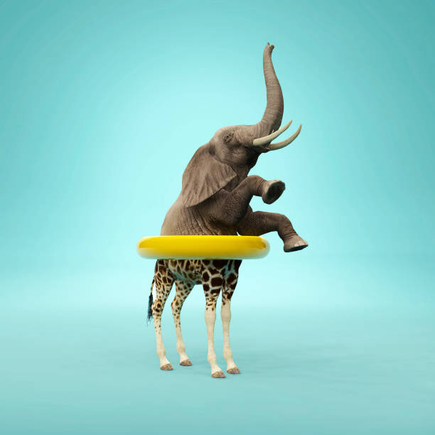istock Changing mindset and different approach concept . Life changing decision and new opportunities . This is a 3d render illustration . 1318002887