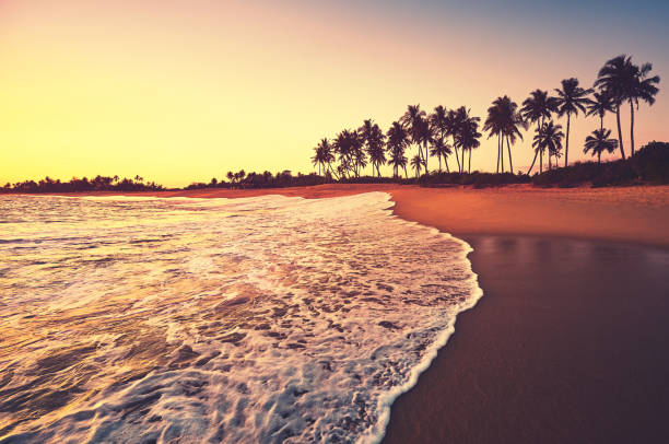 istock Tropical beach at yellow and purple sunset. 1318003205