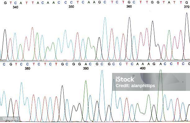 Photo libre de droit de Impression Dune Séquence Dadn Chromatogram banque d'images et plus d'images libres de droit de ADN - ADN, Électrophorèse sur gel, Test d'ADN