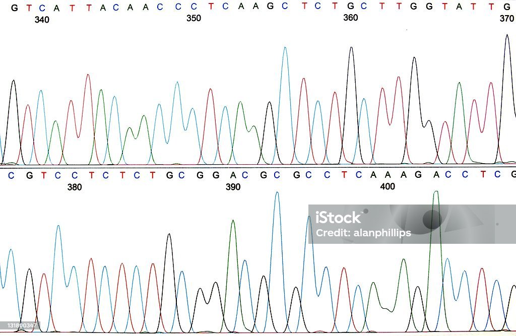 Wydruk chromatogram sekwencji DNA - Zbiór zdjęć royalty-free (DNA)