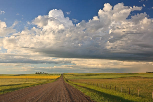 istock Gravel Road On The Prairie With Dramatic Storm Clouds 1318005271