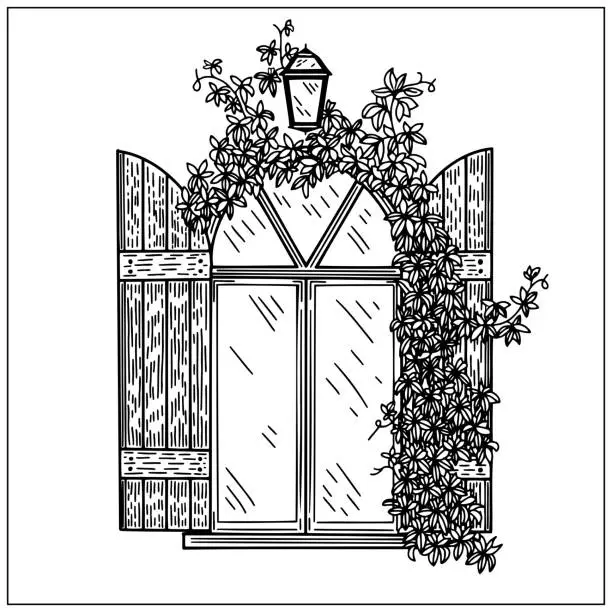 Vector illustration of Window with shutters and ivy on a wall.