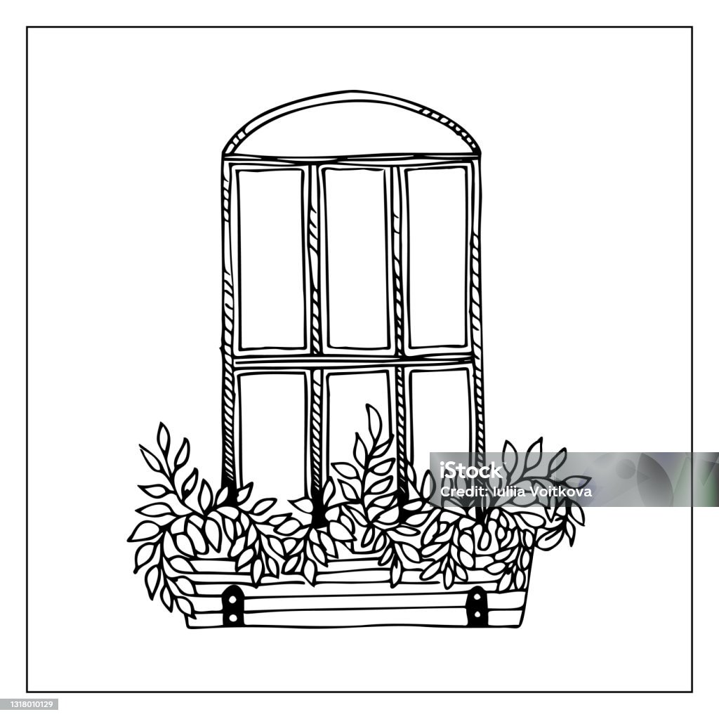 Window Box Flower Drawing Window Flower Boxes Doodle Graphic Stock Illustration - Download Image ...