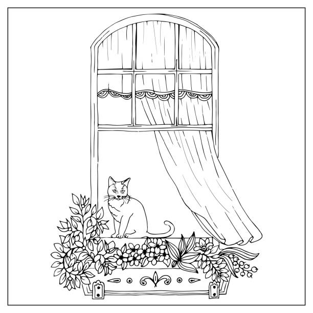 Windows with flowers pots. Hand draw doodle graphics. Windows with flowers pots. Cat on the window sill. Hand draw doodle graphics. simple cat line art stock illustrations