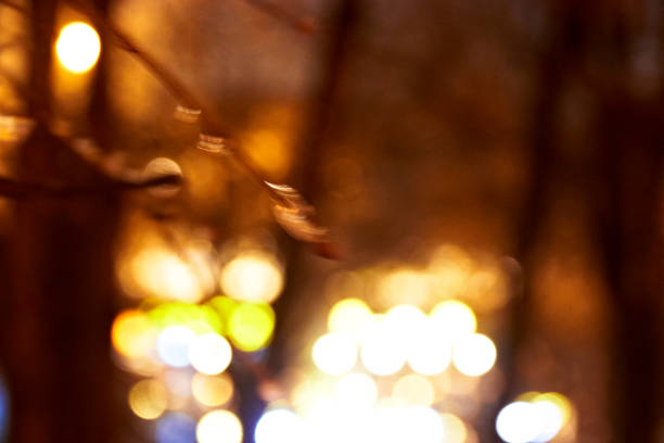 istock blurred christmas lights in the park 1318011332