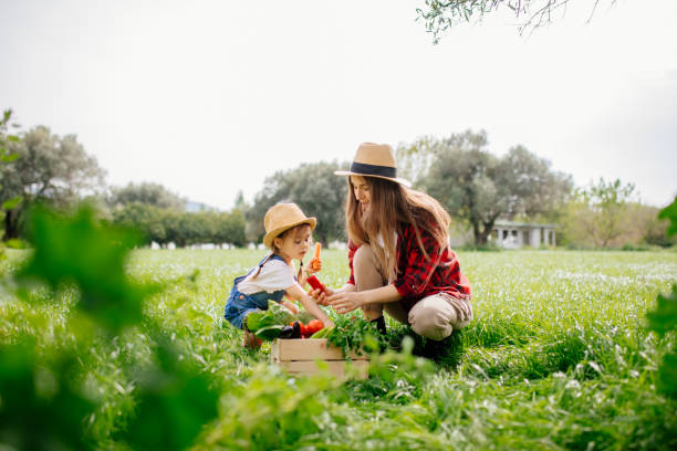 madre e figlia con verdure fresche in fattoria - gardening child vegetable garden vegetable foto e immagini stock