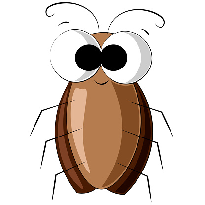 Cute Cartoon Cockroach Draw Illustration In Color Stock Illustration -  Download Image Now - Cockroach, Humor, Cute - iStock