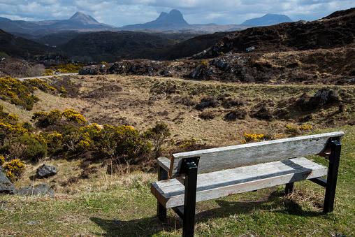 Bench With a View