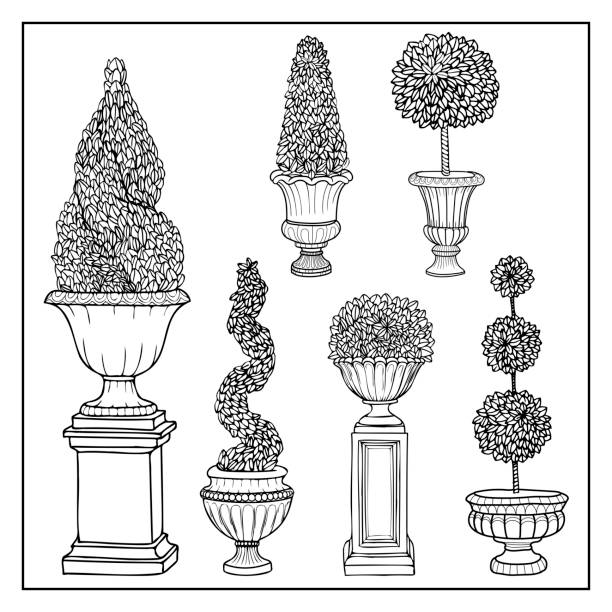 ilustrações, clipart, desenhos animados e ícones de jardim de vasos antigos de árvore topiária - bush flower pot tree flower