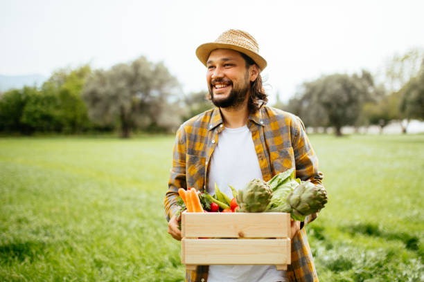 istock Hands holding a grate full of raw vegetables 1318015704