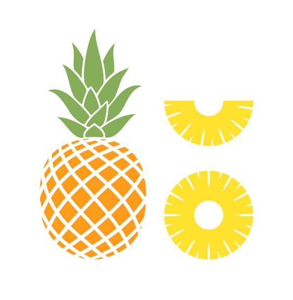 logo ananasa. izolowany ananas na białym tle - tree ring stock illustrations