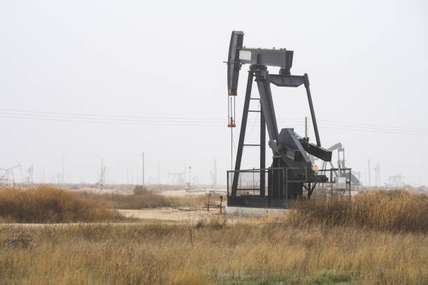 istock Pump jack extracts oil from a field 1318017003