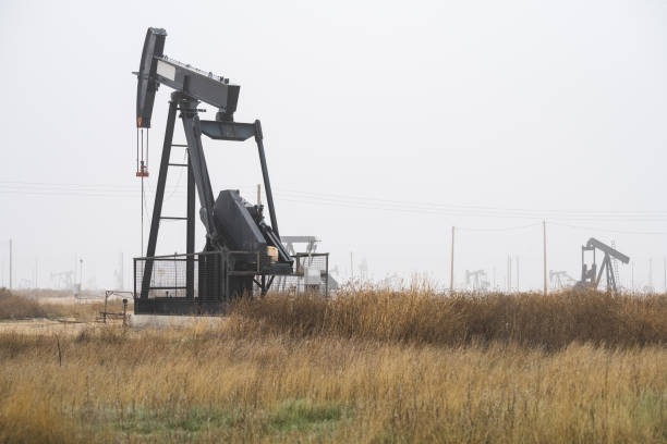 istock Oil well pump in the field 1318017007