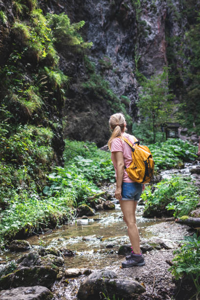 istock Tourist hiking in mountain trail 1318018732