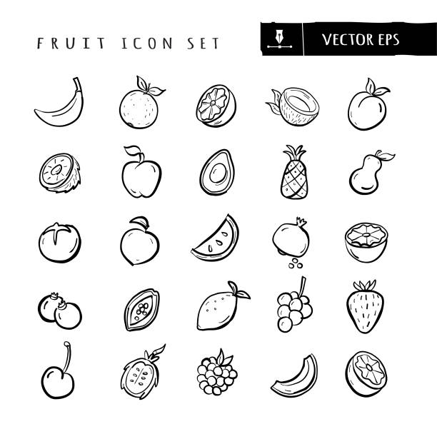 Whole and sliced fruit food and elements big hand drawn Icon set - editable stroke Vector illustration of a set of fruit icons. Includes hand drawn banana, orange, lemon, coconut, plum, kiwi, apple, avocado, pineapple, pear, tomato, peach, watermelon, pomegranate, lime, blueberries, papaya, lemon, grapes, strawberry, cherry, passion fruit, raspberry, cantaloupe and blood orange. Simple set that includes vector eps and high resolution jpg in download. fruit symbols stock illustrations