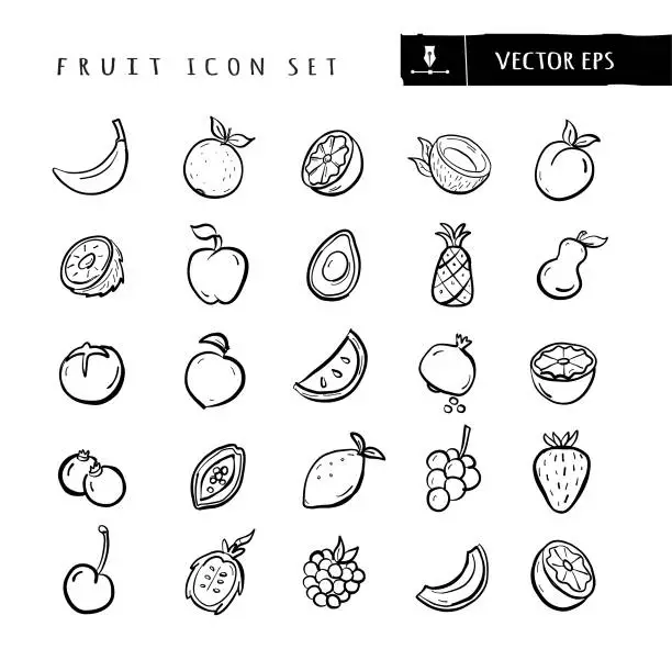 Vector illustration of Whole and sliced fruit food and elements big hand drawn Icon set - editable stroke
