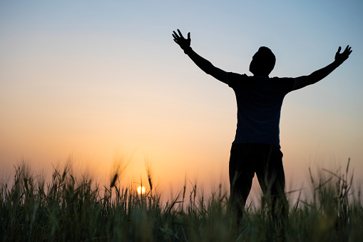 Man with arms raised in wheat field posing in the sunset time with his arms raised.feeling complete.