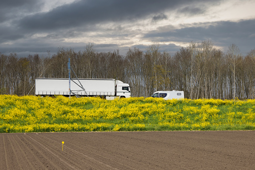 Dutch highway with trucks, verge covered with coleseed and threatening stormy sky