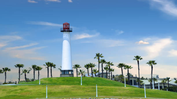 Lighthouse and Palm Trees-Long beach, California