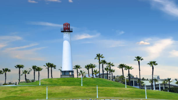latarnia morska i palmy-long plaży, kalifornia - long beach california lighthouse los angeles county zdjęcia i obrazy z banku zdjęć