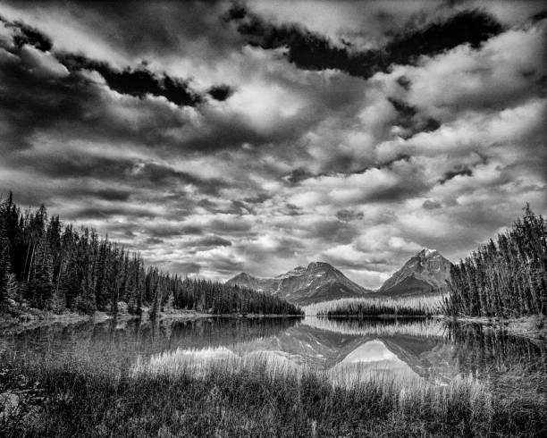 istock Jasper National Park in Alberta Canada 1318035316