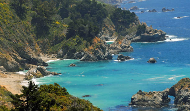 istock Pacific Coast- Beach and Cove at Big Sur- California 1318035397