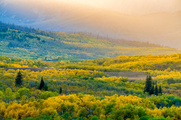 istock Waterton National Park in Alberta Canada 1318035717