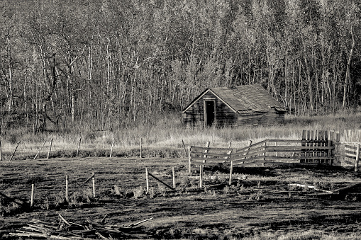 Farm and barn in rural Alberta Canada