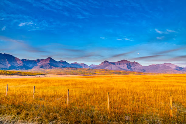 альберта канада сельской местности - alberta prairie autumn field стоковые фото и изображения