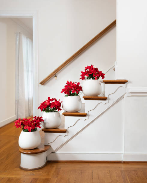 istock Poinsettias decorating staircase for christmas 1318038882