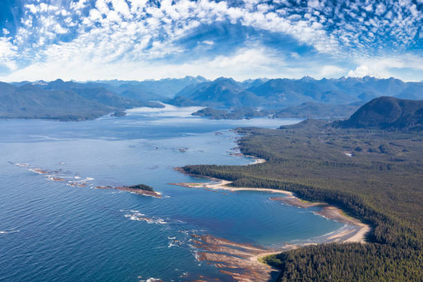 istock Aerial View from Airplane of Pacific Ocean West Coast. 1318050776