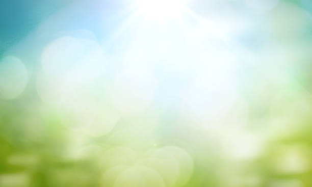 World environment day concept: green grass and blue sky abstract background with bokeh stock photo