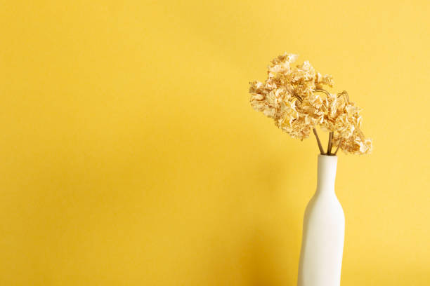 istock Vase of dry hydrangea flower. yellow background 1318060621