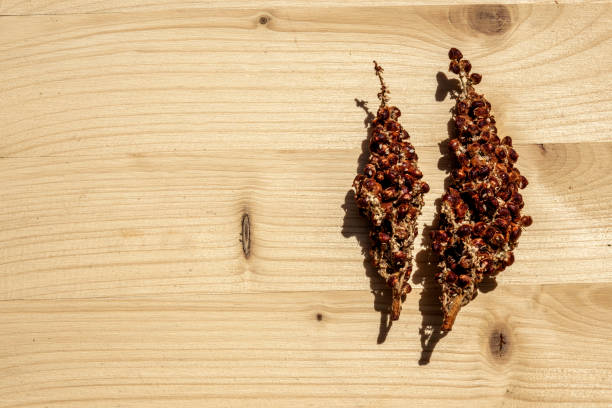 Branches of natural sumac seasoning on wooden surface for additional text Healthy eating and lifestyle concept: Top view on branches of fresh and organic sumac on a wooden table. Preparing for cooking. Spice ingredients for a traditional recipe. Natural food background with large copy space. sumac stock pictures, royalty-free photos & images