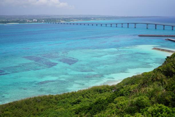 istock Emerald ocean and remote island in Okinawa 1318070720