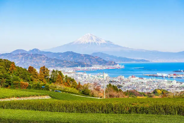 Nihondaira is one of most famous green tea plantation place of Japan, and can see fuji mountain background at Shzuoka